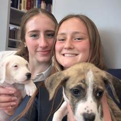 Senior Stress Relief