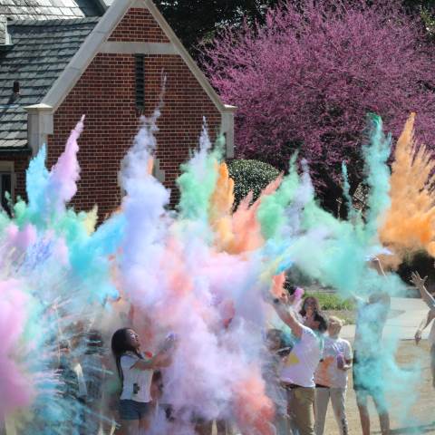 Holi Festival Celebration