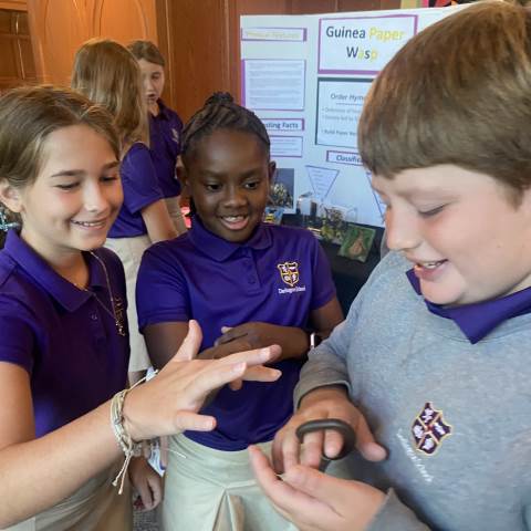 5th Grade Insect Expo 