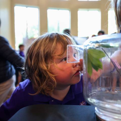 Darlington School Student: Boarding Schools in Georgia5th Grade Insect Expo