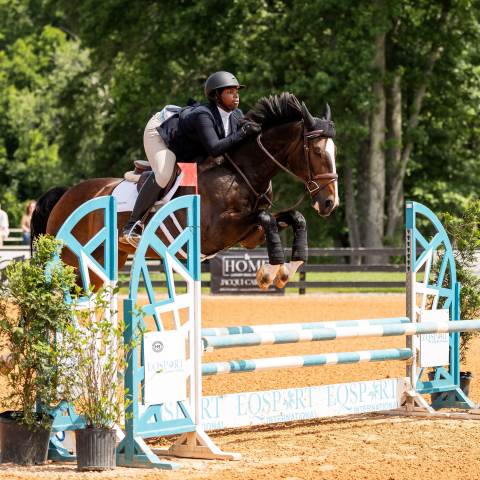 Boarding Schools in Georgia | Private Day School | Double W Farms partnership offers Premiere Hunter/Jumper training for boarding students 