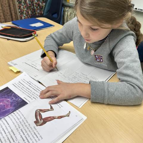 Private Elementary Schools in Georgia | 3rd Grade Literacy: Body Systems KWL Chart