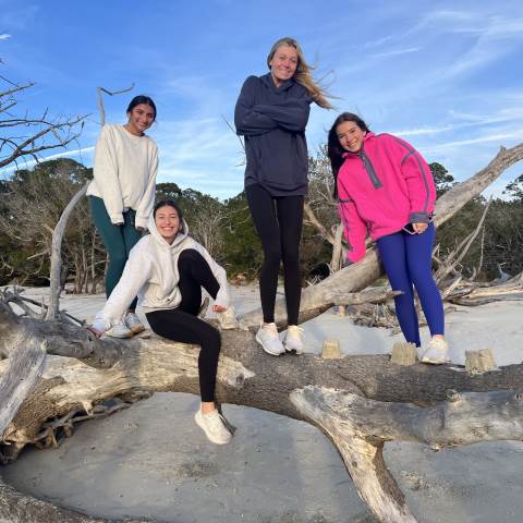 Zoology Class in the Golden Isles