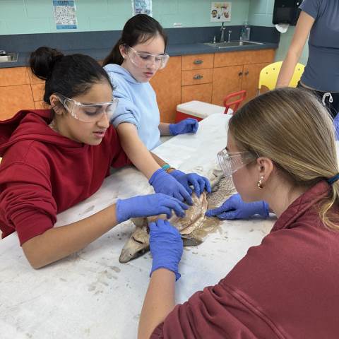 7th Grade Trip to North Carolina & Virginia 