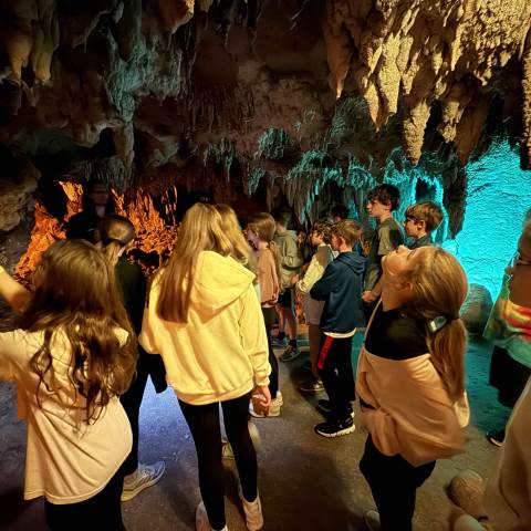 Darlington class trips educate through travel