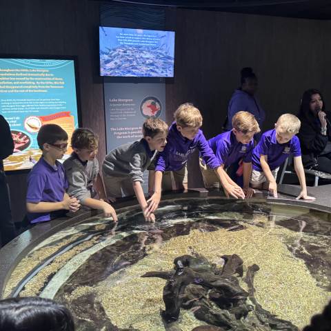 2nd Grade Visits the Tennessee Aquarium 